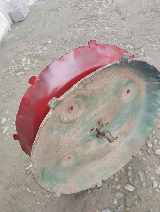 Ruminski selka zabchast