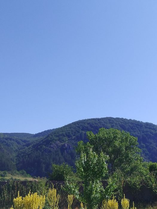 Продава се Парцел в с. Долни Пасарел, Област София-град - 2800 кв.м за 97 €/кв.м - Снимка #3