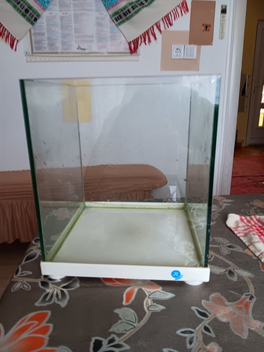Acvariu de vanzare preț 100 lei