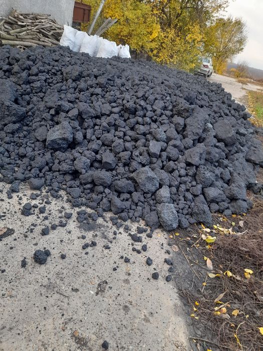 Cocs de vânzare cox