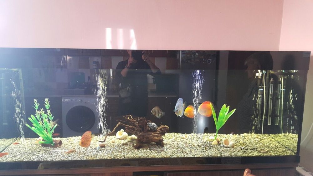 Продавам аквариум