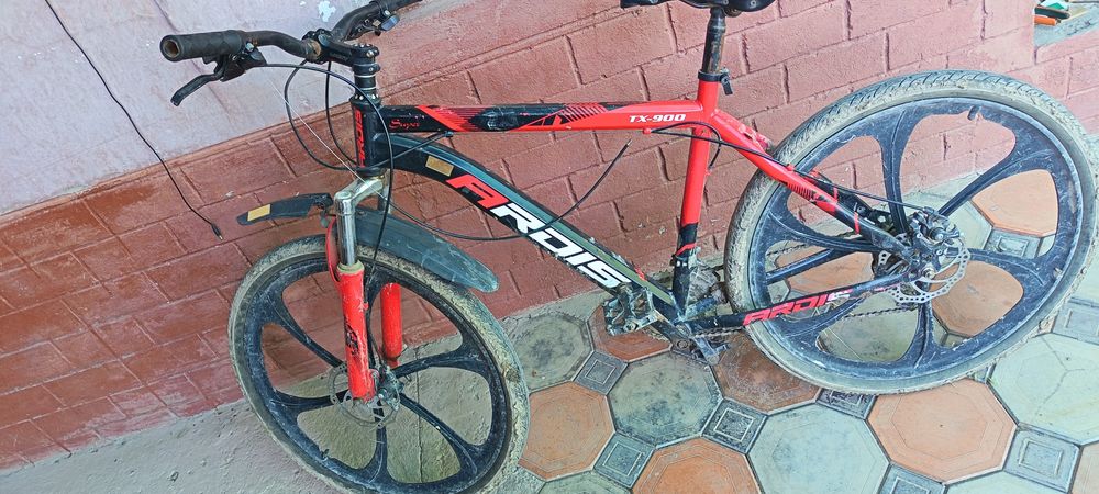 Velosepid gonichniy