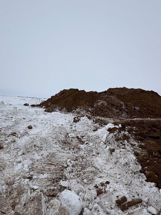 Грунт рыжый свежий