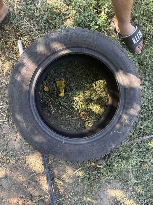 Vand sau schimb cu cauciucuri pe 20 .Cauciucuri 205/60 R16 M+S . 200 ron buc