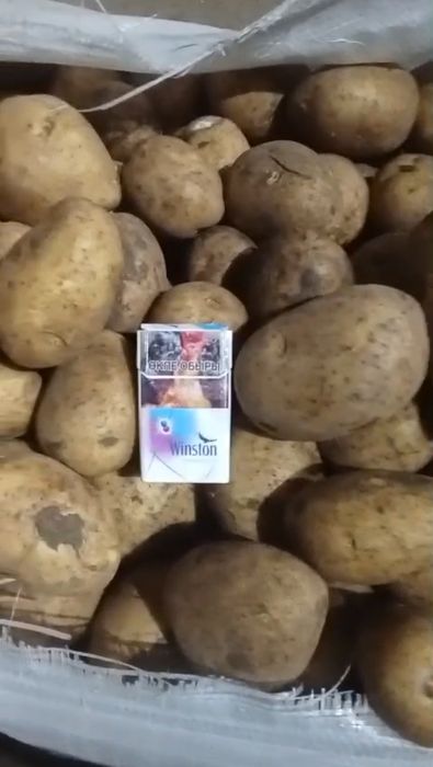 Картофель Картофель