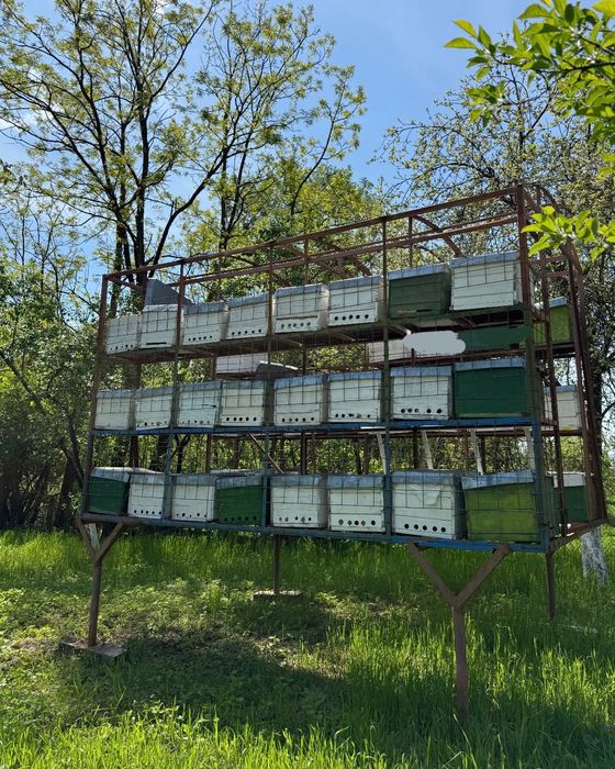 Pavilion apicol cu loc pentru 56 de lăzi în pat rece pe 10 rame + loc de 1 magazie pe 1/2 sau 1/3 (se vinde fără lăzi)