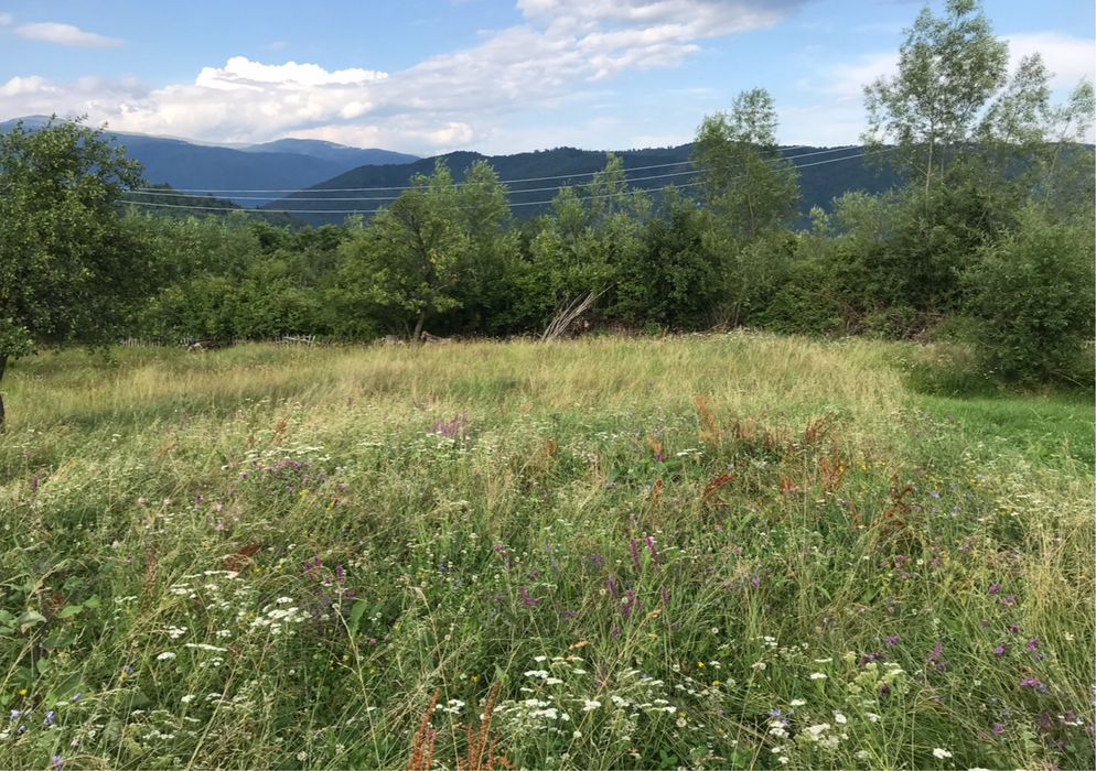 Vand/schimb 1 hectar Nucsoara Arges