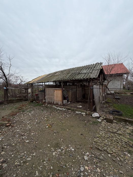 Casă Jebel teren 1696 mp front 30 ml utilitati strada asfaltata