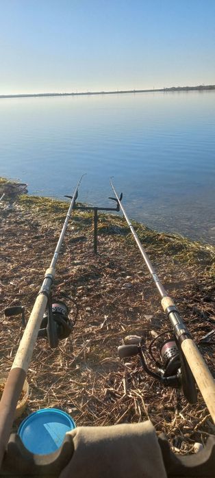 Vand doua bete fara mulinete Delphin Magma M3 Heavy Feeder