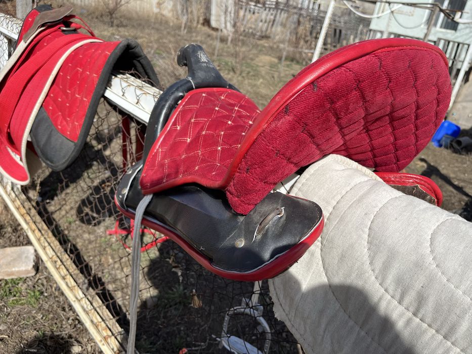 Ертоқым, ат әбзелі