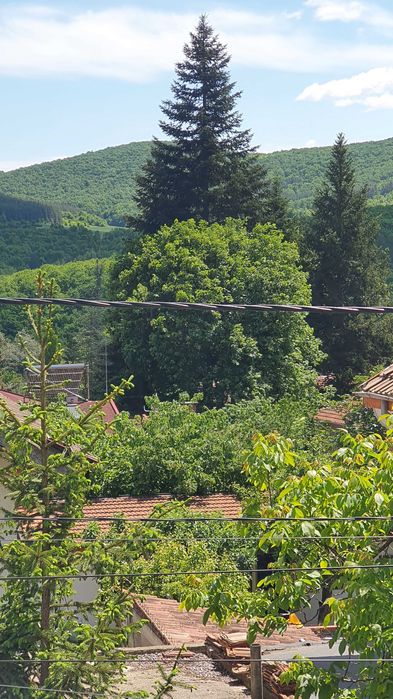 Продава се Къща в с. Старозагорски бани, Област Стара Загора - 145 кв.м за 966 €/кв.м - Снимка #11