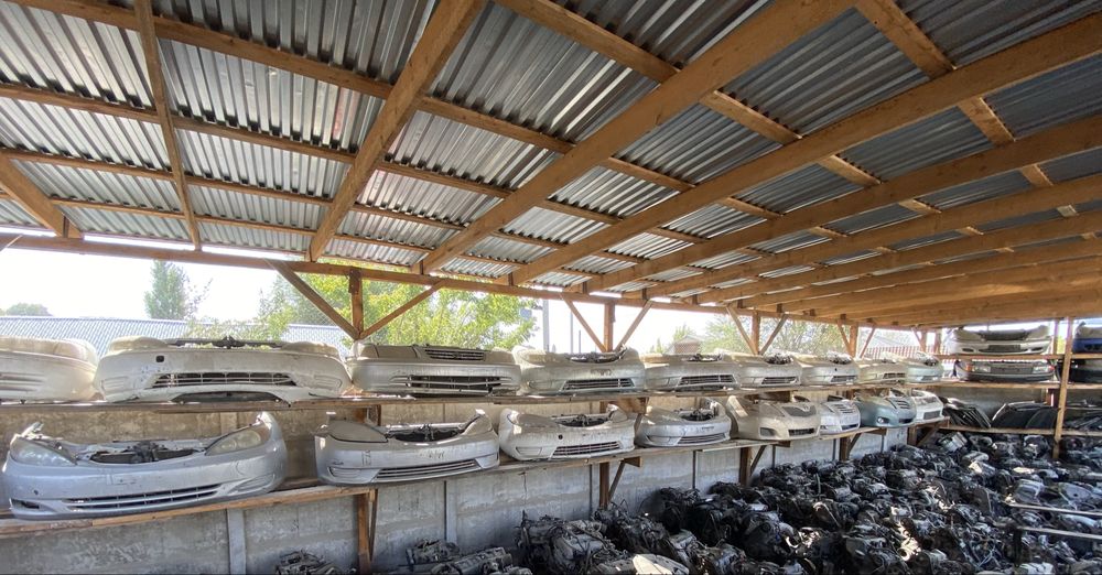 Ноускаты(мини-морды) Камри 30-35