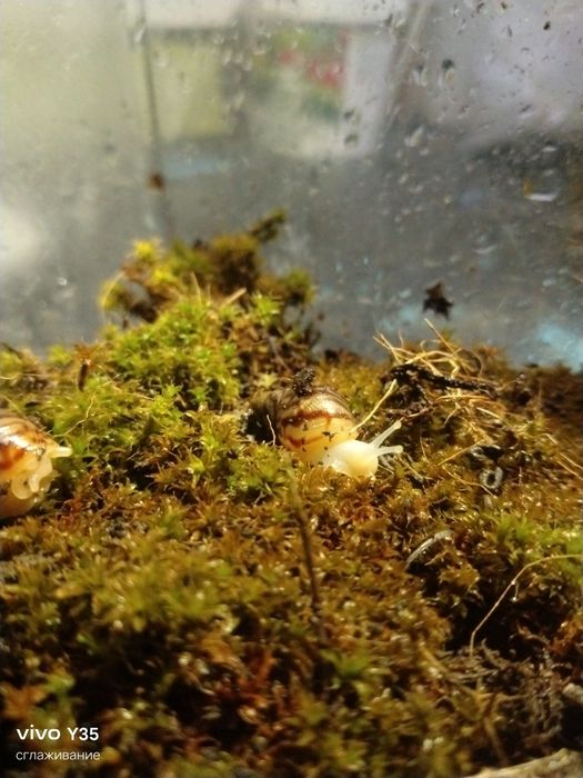 Читать внимательно !!  Очень внимательно!!!