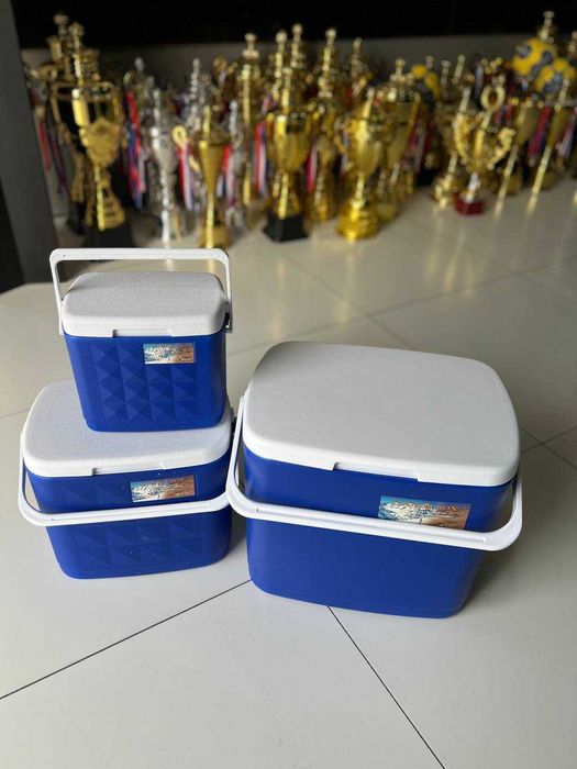 Терм холодильник для пикника Доставка бесплатно