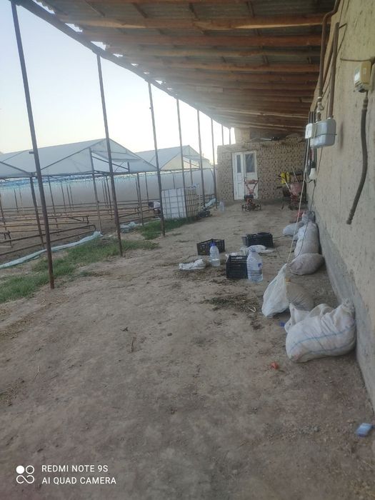 Yer sotiladi +tiplisa