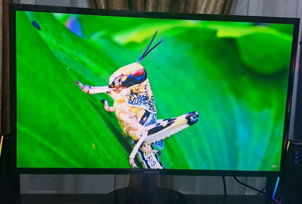 Monitor LED Samsung