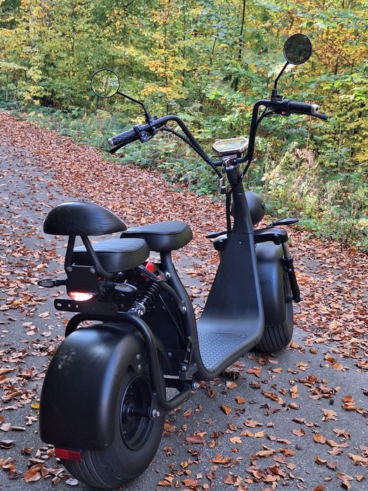 De vânzare Harley Electric