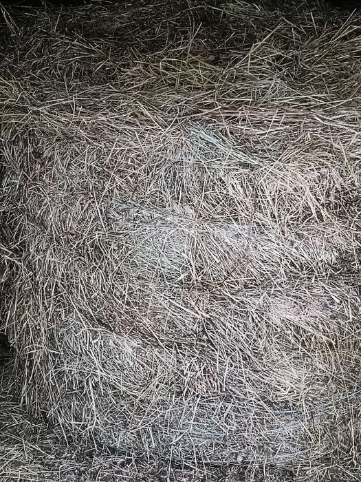 Baloți rotunzi otavă