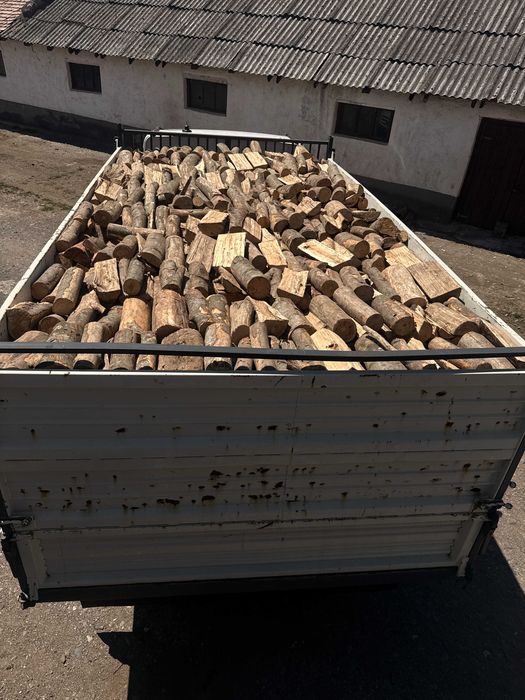 Lemn de foc esență tare – Bistrița și județul Bistrița-Năsăud