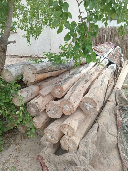 Кругуляг агаш сатылады шт 190 мингнан бахасы келисимли