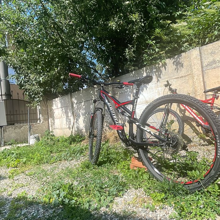 Specialized camber evo 29