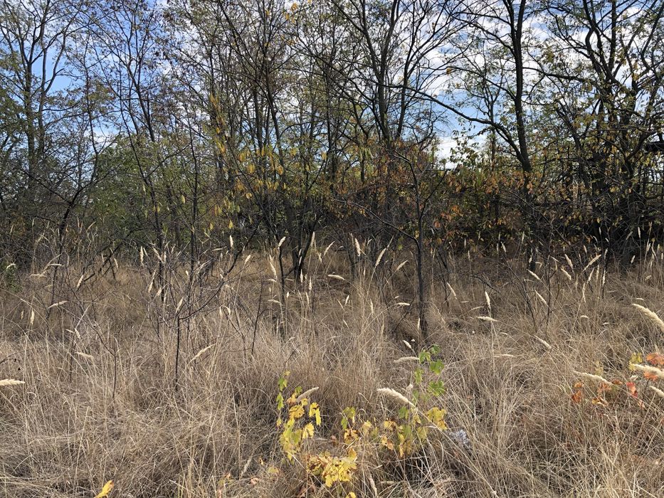 Продава се Парцел в Русе, Веждата - 1175 кв.м за 69 €/кв.м - Снимка #5