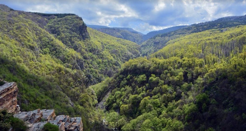 Парцел с. Храбрино 279кв