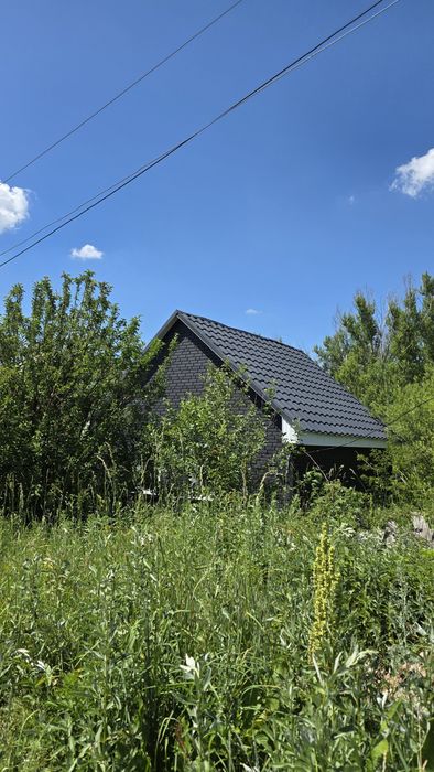 Дом в лесу Усть Каменогорск