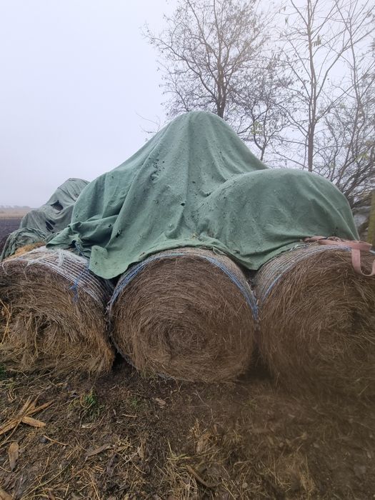 Baloti de fân si paie
