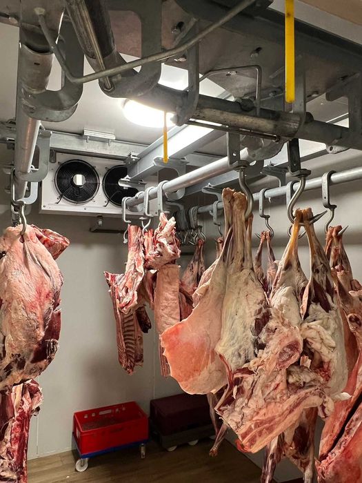 Camere Frigorifice /Montaj Transport Inclus /Diferite Dimensiuni/ NOI