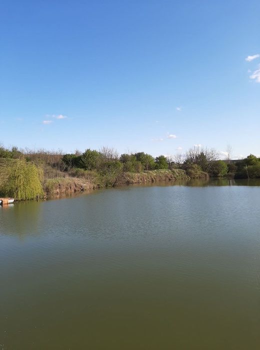 Продава се Парцел в Мизия - 21000 кв.м за 7 €/кв.м - Снимка #17