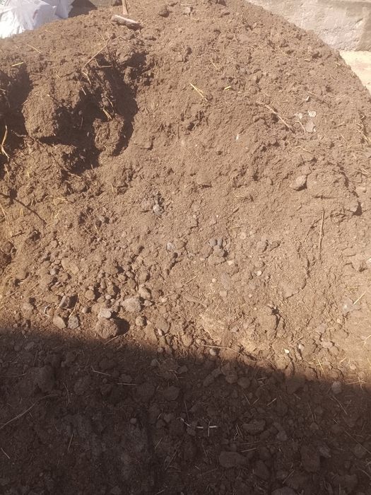 Продам навоз коровий,