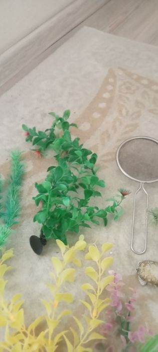 Искусствоный шөп