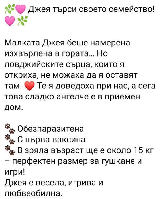 Подарява се Джея