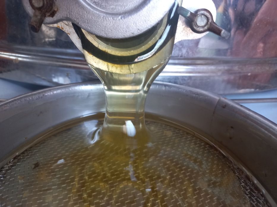 Vand miere poliflora