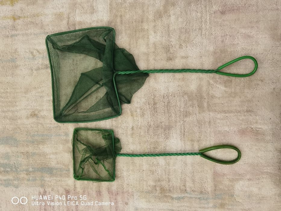 Всичко за аквариум