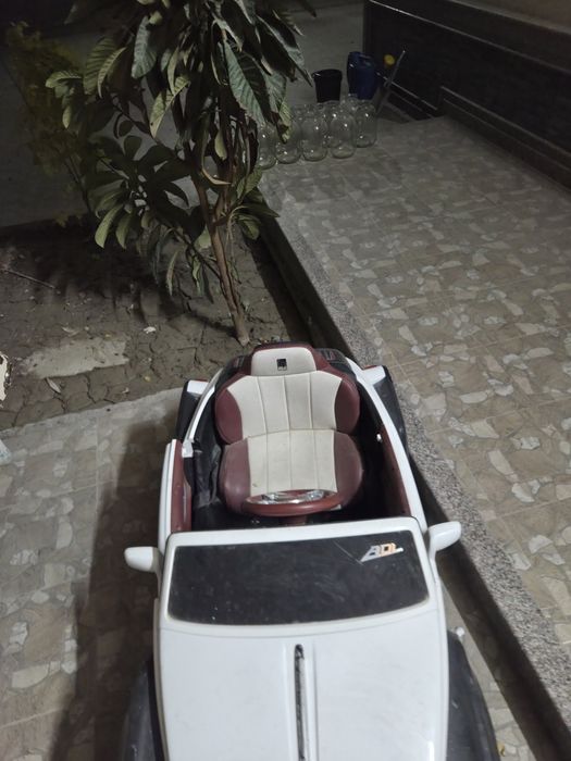 Rolce Roys elektromobilchasi