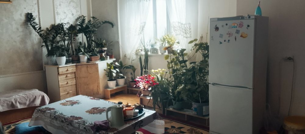 Тассай уй сатылады