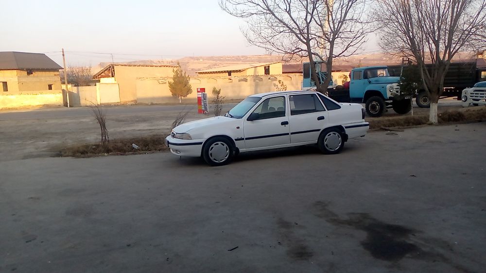 Nexia 1 aq rangli xolati oʻrta