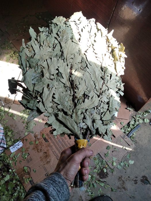 Веники банные берёзовые