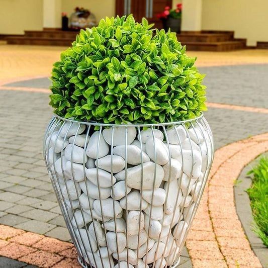 Кашпо из габион и галка камен