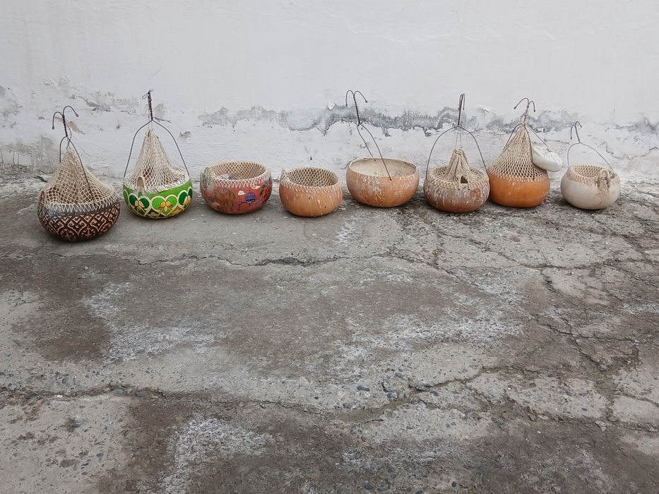 Bedana qovoqlari naqishli