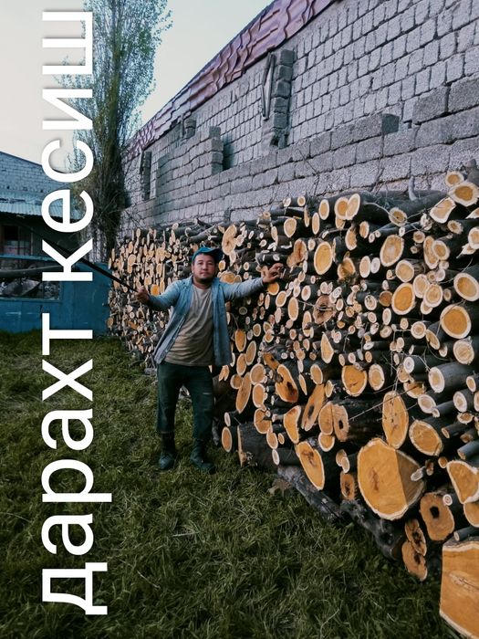 Дарахт кесиш хизмати обрезка деревя спил деревя бензапела услуг daraxt