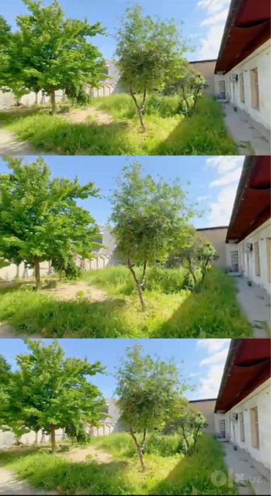 N9463 Uchtepa tumani Orikzor 6 sotix