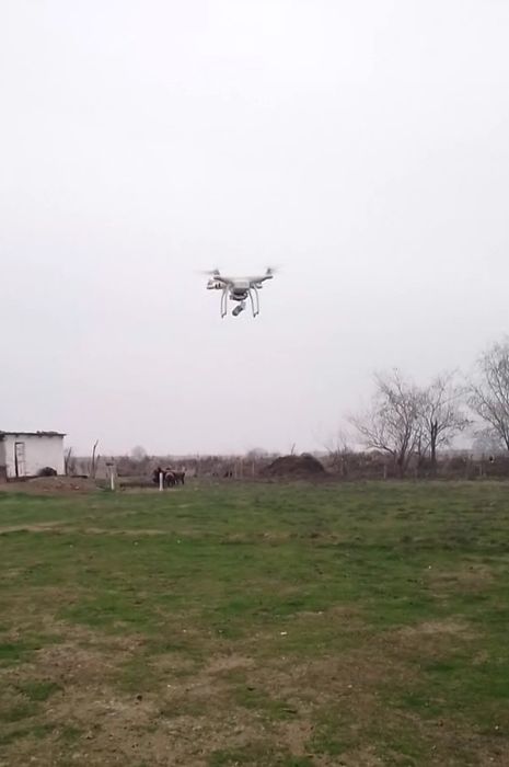 Dji phantom 3 standard