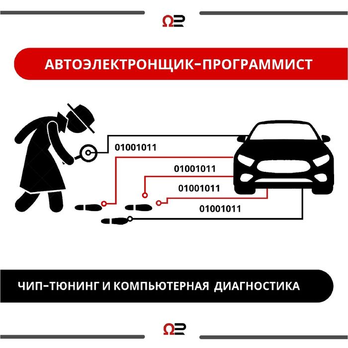 Автоэлектронщик-Программист Риддер | OmExpert