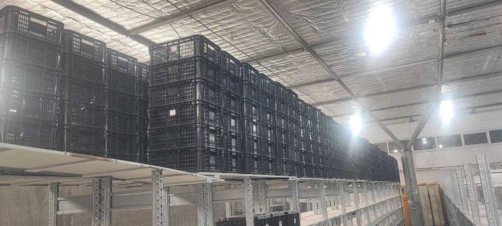 Пластиковые ящики 44×30×18 — в наличии!