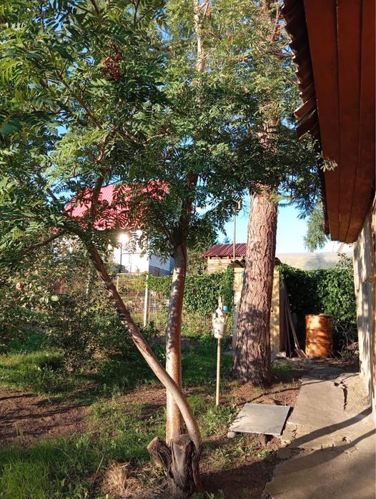 Продам дачу на Кожухово