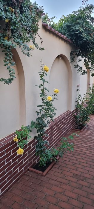 Casa piata Chiriac. 440mp Craiova • OLX.ro