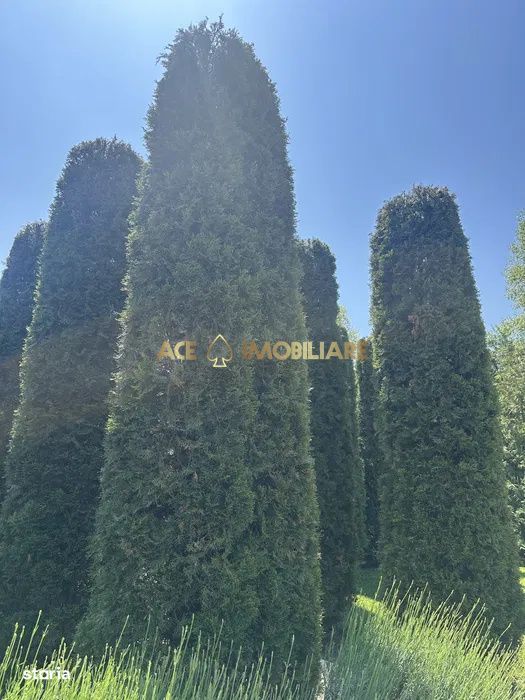 Vila de inchiriat | Unirii | Parcare | 340 mp utili - 1000 mp teren